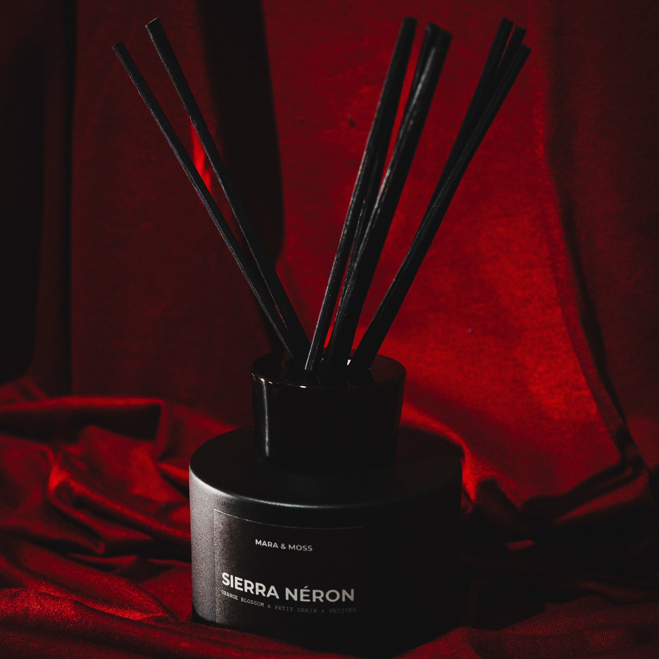 SIERRA NÉRON - After Hours Set